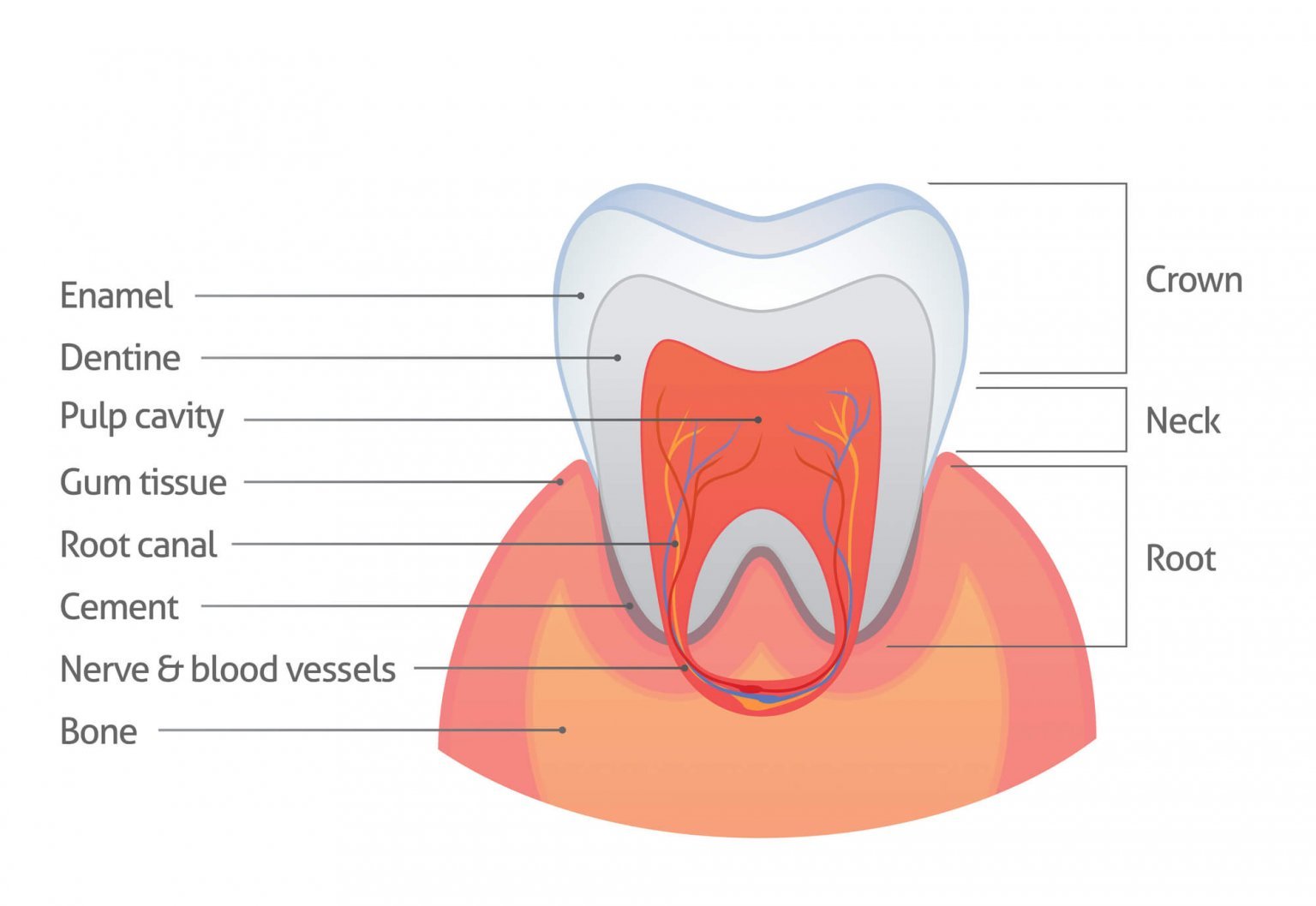 treatment-for-enamel-hypoplasia-biscayne-dental-center