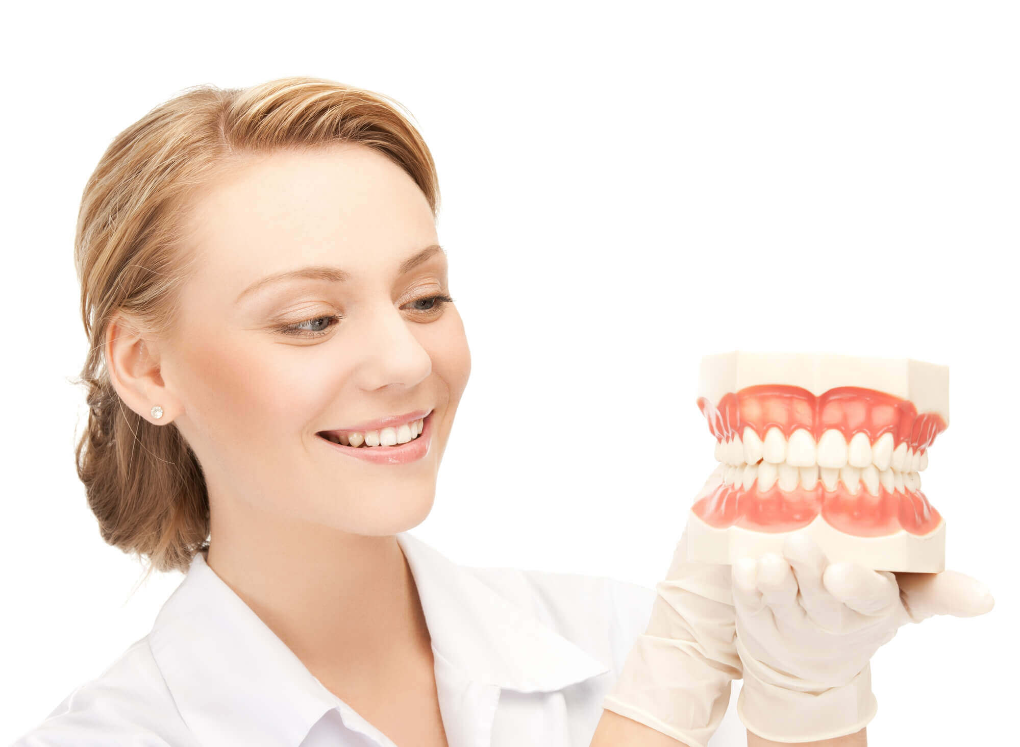 dentist holding a model of teeth and explaining Teeth Whitening in North Miami